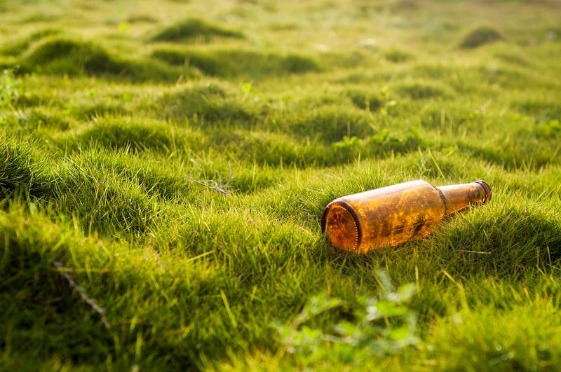 Environmental Consciousness