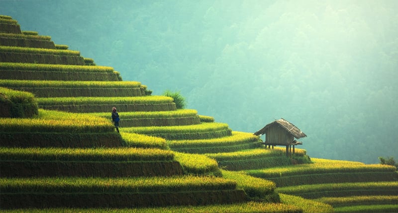 Sustainable Practices
